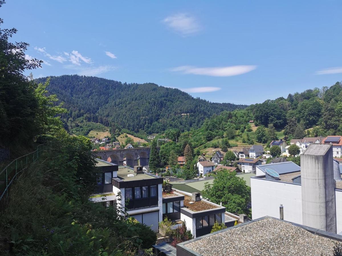 Terrassenwohnung Mit Toller Aussicht & Zentrumsnah Hornberg Luaran gambar