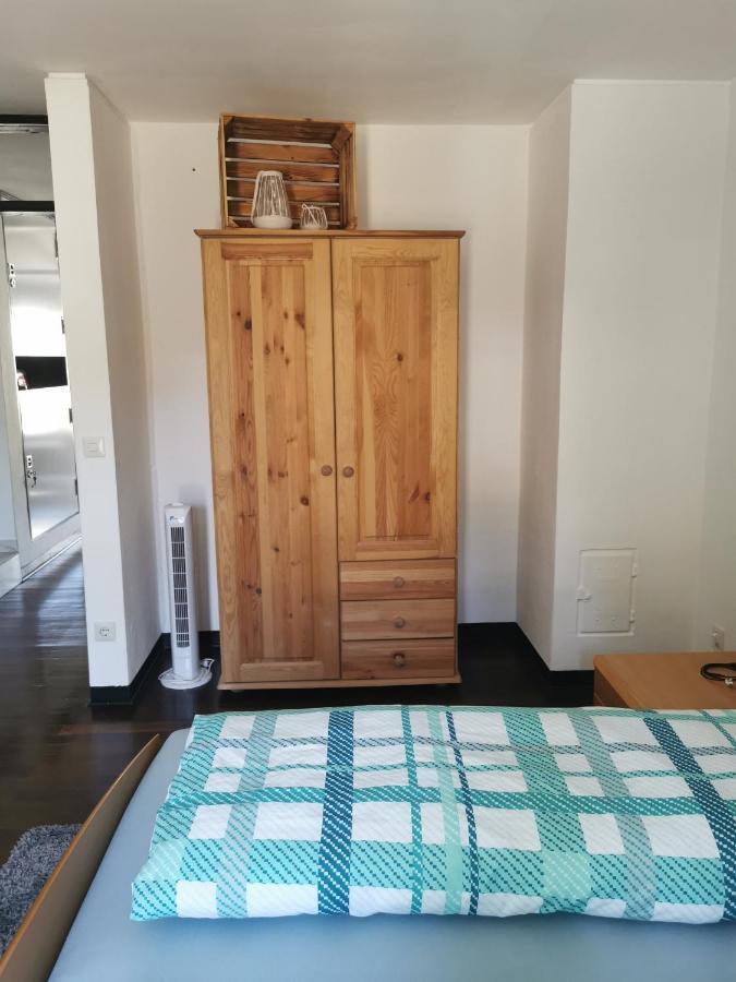 Terrassenwohnung Mit Toller Aussicht & Zentrumsnah Hornberg Luaran gambar