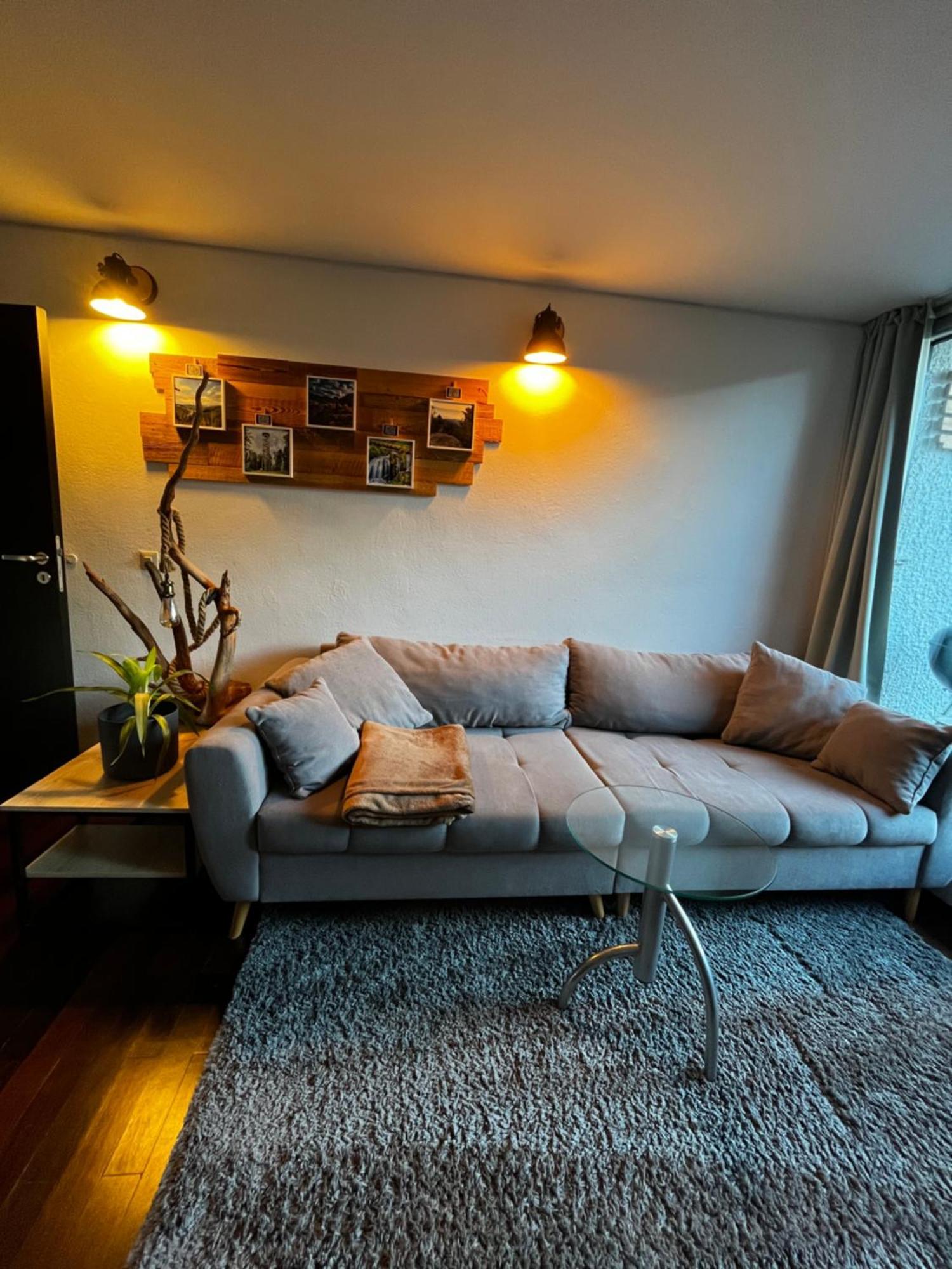 Terrassenwohnung Mit Toller Aussicht & Zentrumsnah Hornberg Luaran gambar