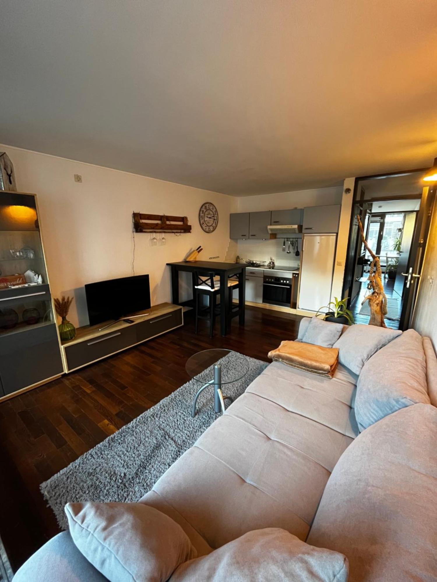 Terrassenwohnung Mit Toller Aussicht & Zentrumsnah Hornberg Luaran gambar
